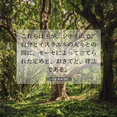 Picture 07 - レビ記 26:46 JPN - これらは主が、シナイ山で、自分と - Bible Verse Picture