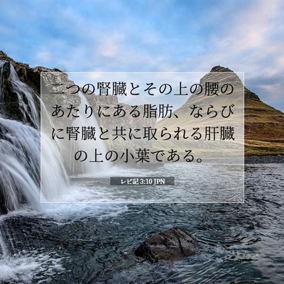 Picture 07 - レビ記 3:10 JPN - 二つの腎臓とその上の腰のあたりに - Bible Verse Picture