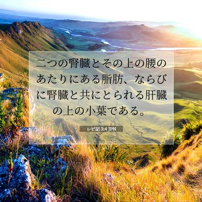 Picture 07 - レビ記 3:4 JPN - 二つの腎臓とその上の腰のあたりに - Bible Verse Picture
