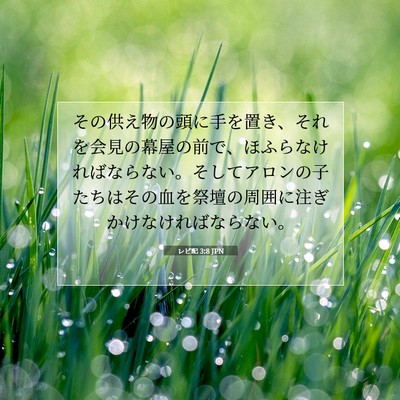 Picture 07 - レビ記 3:8 JPN - その供え物の頭に手を置き、それを - Bible Verse Picture