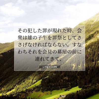 Picture 07 - レビ記 4:14 JPN - その犯した罪が現れた時、会衆は雄 - Bible Verse Picture