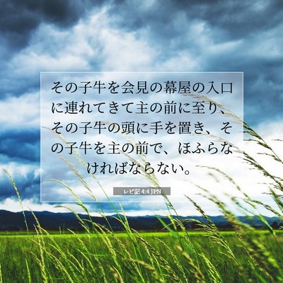 Picture 07 - レビ記 4:4 JPN - その子牛を会見の幕屋の入口に連れ - Bible Verse Picture