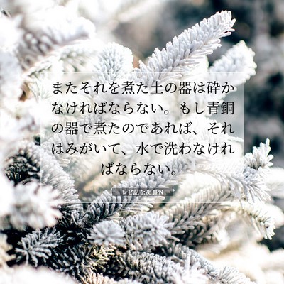 Picture 07 - レビ記 6:28 JPN - またそれを煮た土の器は砕かなけれ - Bible Verse Picture