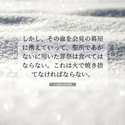 Picture 07 - レビ記 6:30 JPN - しかし、その血を会見の幕屋に携え - Bible Verse Picture