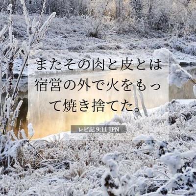 Picture 07 - レビ記 9:11 JPN - またその肉と皮とは宿営の外で火を - Bible Verse Picture