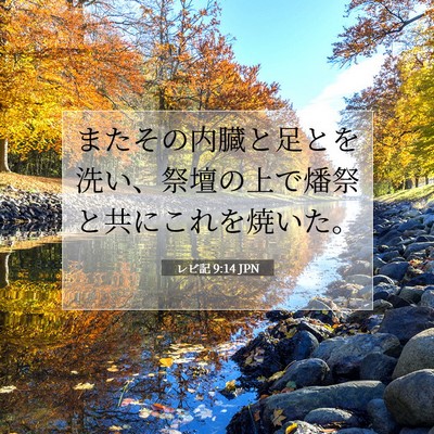 Picture 07 - レビ記 9:14 JPN - またその内臓と足とを洗い、祭壇の - Bible Verse Picture
