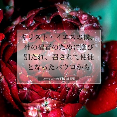 Picture 07 - ローマ人への手紙 1:1 JPN - キリスト・イエスの僕、神の福音の - Bible Verse Picture