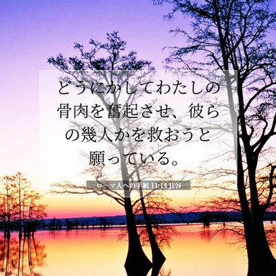 Picture 07 - ローマ人への手紙 11:14 JPN - どうにかしてわたしの骨肉を奮起さ - Bible Verse Picture