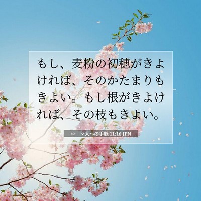 Picture 07 - ローマ人への手紙 11:16 JPN - もし、麦粉の初穂がきよければ、そ - Bible Verse Picture