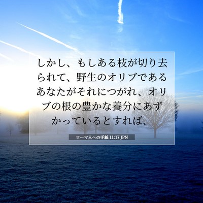 Picture 07 - ローマ人への手紙 11:17 JPN - しかし、もしある枝が切り去られて - Bible Verse Picture