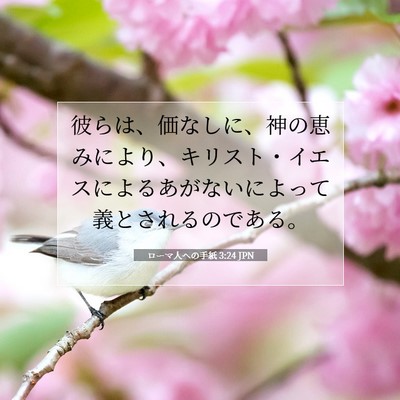 Picture 07 - ローマ人への手紙 3:24 JPN - 彼らは、価なしに、神の恵みにより - Bible Verse Picture