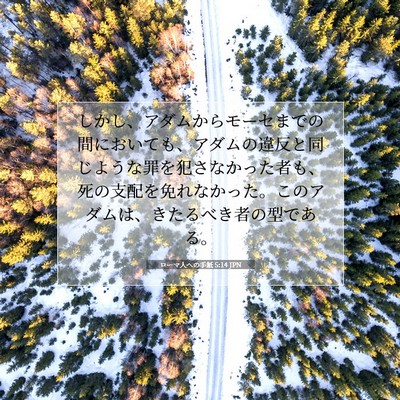 Picture 07 - ローマ人への手紙 5:14 JPN - しかし、アダムからモーセまでの間 - Bible Verse Picture