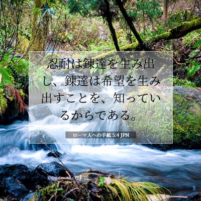 Picture 07 - ローマ人への手紙 5:4 JPN - 忍耐は錬達を生み出し、錬達は希望 - Bible Verse Picture