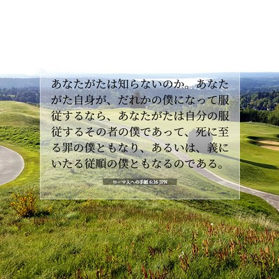 Picture 07 - ローマ人への手紙 6:16 JPN - あなたがたは知らないのか。あなた - Bible Verse Picture