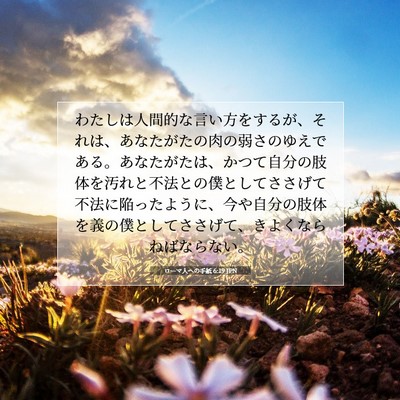 Picture 07 - ローマ人への手紙 6:19 JPN - わたしは人間的な言い方をするが、 - Bible Verse Picture