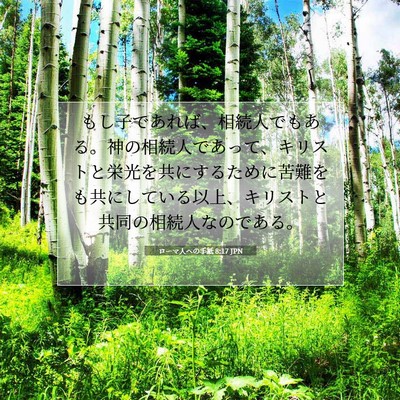 Picture 07 - ローマ人への手紙 8:17 JPN - もし子であれば、相続人でもある。 - Bible Verse Picture