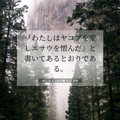 Picture 07 - ローマ人への手紙 9:13 JPN - 「わたしはヤコブを愛しエサウを憎 - Bible Verse Picture