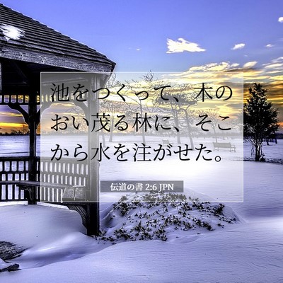 Picture 07 - 伝道の書 2:6 JPN - 池をつくって、木のおい茂る林に、 - Bible Verse Picture