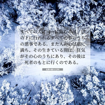 Picture 07 - 伝道の書 9:3 JPN - すべての人に同一に臨むのは、日の - Bible Verse Picture