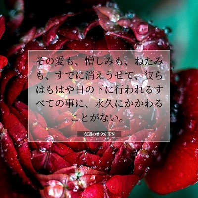 Picture 07 - 伝道の書 9:6 JPN - その愛も、憎しみも、ねたみも、す - Bible Verse Picture