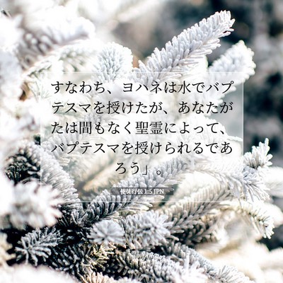 Picture 07 - 使徒行伝 1:5 JPN - すなわち、ヨハネは水でバプテスマ - Bible Verse Picture