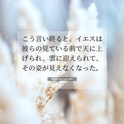 Picture 07 - 使徒行伝 1:9 JPN - こう言い終ると、イエスは彼らの見 - Bible Verse Picture