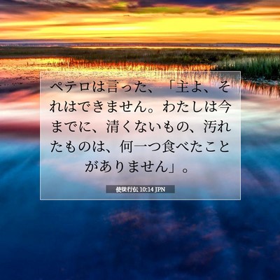 Picture 07 - 使徒行伝 10:14 JPN - ペテロは言った、「主よ、それはで - Bible Verse Picture