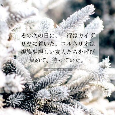 Picture 07 - 使徒行伝 10:24 JPN - その次の日に、一行はカイザリヤに - Bible Verse Picture