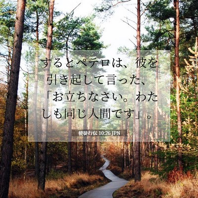 Picture 07 - 使徒行伝 10:26 JPN - するとペテロは、彼を引き起して言 - Bible Verse Picture