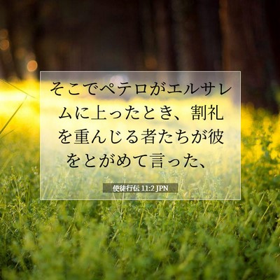 Picture 07 - 使徒行伝 11:2 JPN - そこでペテロがエルサレムに上った - Bible Verse Picture