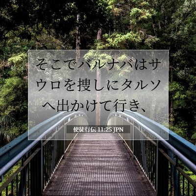 Picture 07 - 使徒行伝 11:25 JPN - そこでバルナバはサウロを捜しにタ - Bible Verse Picture