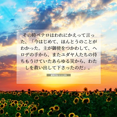 Picture 07 - 使徒行伝 12:11 JPN - その時ペテロはわれにかえって言っ - Bible Verse Picture
