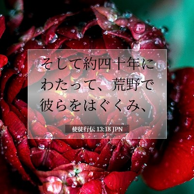 Picture 07 - 使徒行伝 13:18 JPN - そして約四十年にわたって、荒野で - Bible Verse Picture
