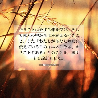 Picture 07 - 使徒行伝 17:3 JPN - キリストは必ず苦難を受け、そして - Bible Verse Picture