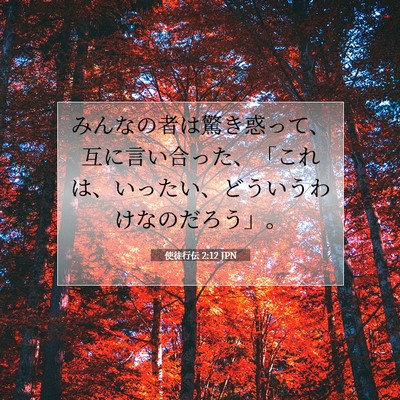 Picture 07 - 使徒行伝 2:12 JPN - みんなの者は驚き惑って、互に言い - Bible Verse Picture