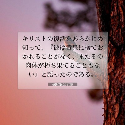 Picture 07 - 使徒行伝 2:31 JPN - キリストの復活をあらかじめ知って - Bible Verse Picture