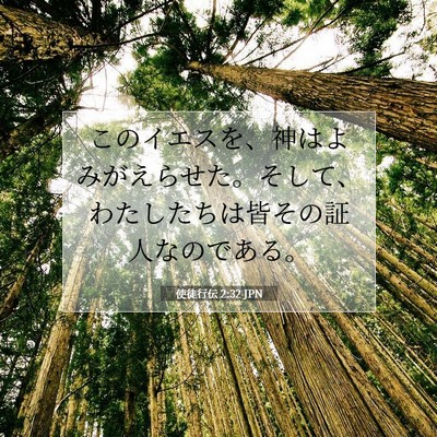 Picture 07 - 使徒行伝 2:32 JPN - このイエスを、神はよみがえらせた - Bible Verse Picture