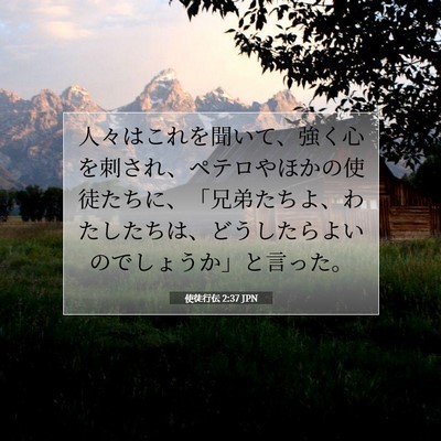Picture 07 - 使徒行伝 2:37 JPN - 人々はこれを聞いて、強く心を刺さ - Bible Verse Picture