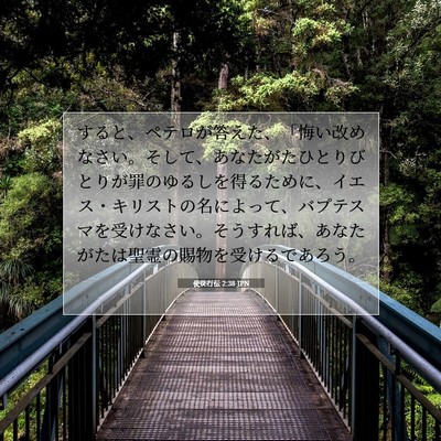 Picture 07 - 使徒行伝 2:38 JPN - すると、ペテロが答えた、「悔い改 - Bible Verse Picture