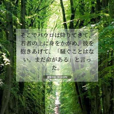 Picture 07 - 使徒行伝 20:10 JPN - そこでパウロは降りてきて、若者の - Bible Verse Picture