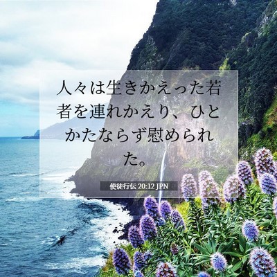 Picture 07 - 使徒行伝 20:12 JPN - 人々は生きかえった若者を連れかえ - Bible Verse Picture