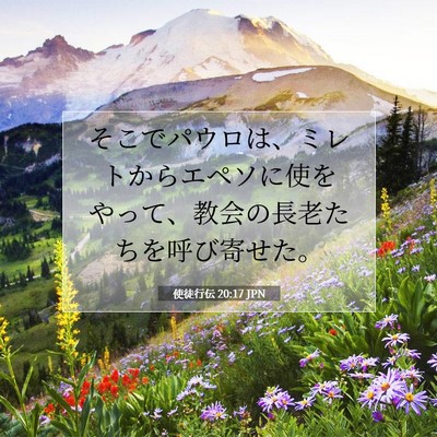 Picture 07 - 使徒行伝 20:17 JPN - そこでパウロは、ミレトからエペソ - Bible Verse Picture