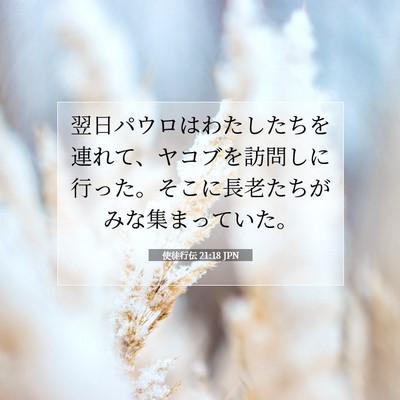 Picture 07 - 使徒行伝 21:18 JPN - 翌日パウロはわたしたちを連れて、 - Bible Verse Picture