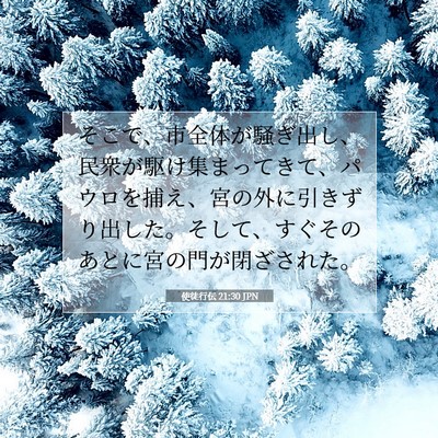 Picture 07 - 使徒行伝 21:30 JPN - そこで、市全体が騒ぎ出し、民衆が - Bible Verse Picture