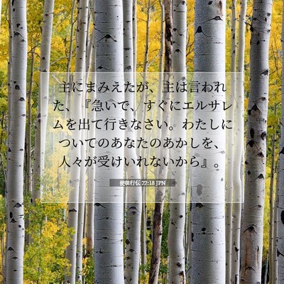 Picture 07 - 使徒行伝 22:18 JPN - 主にまみえたが、主は言われた、『 - Bible Verse Picture