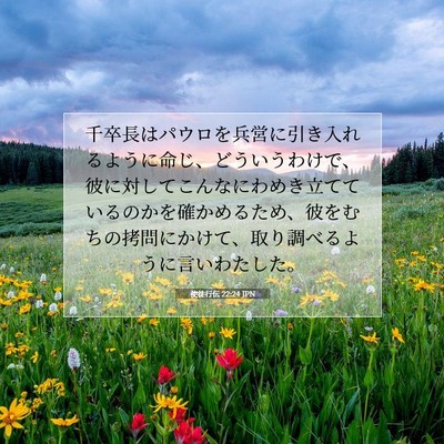 Picture 07 - 使徒行伝 22:24 JPN - 千卒長はパウロを兵営に引き入れる - Bible Verse Picture