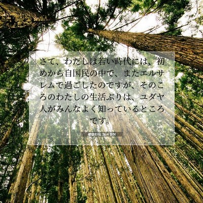 Picture 07 - 使徒行伝 26:4 JPN - さて、わたしは若い時代には、初め - Bible Verse Picture