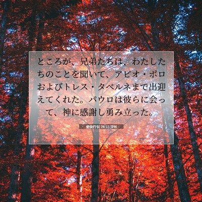 Picture 07 - 使徒行伝 28:15 JPN - ところが、兄弟たちは、わたしたち - Bible Verse Picture