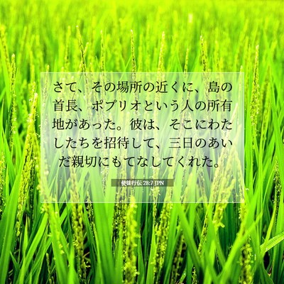 Picture 07 - 使徒行伝 28:7 JPN - さて、その場所の近くに、島の首長 - Bible Verse Picture