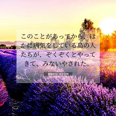 Picture 07 - 使徒行伝 28:9 JPN - このことがあってから、ほかに病気 - Bible Verse Picture